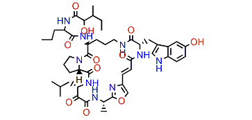 Discobahamin A